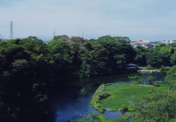 柿田川の風景写真５－３
