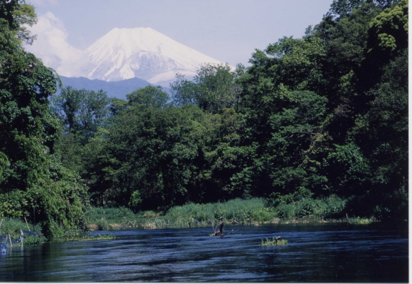 柿田川と富士山の写真１－４