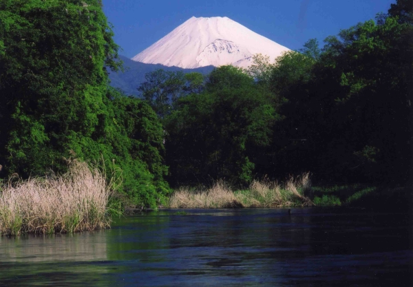 柿田川と富士山の写真１－１