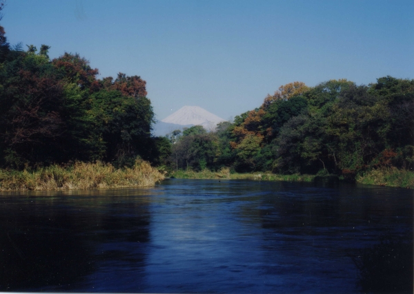 柿田川と富士山の写真２－１