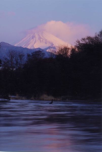 柿田川と富士山の写真３－５