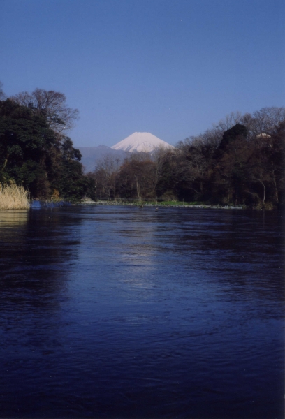 柿田川と富士山の写真３－３