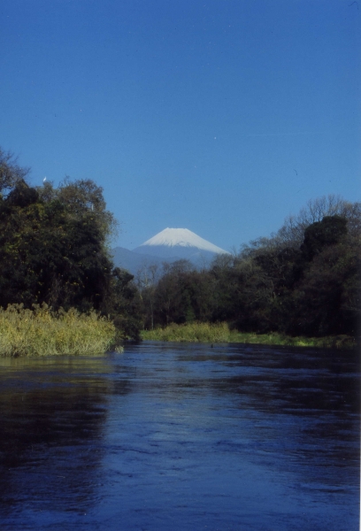 柿田川と富士山の写真３－４