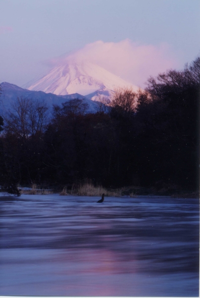 柿田川と富士山の写真４－２