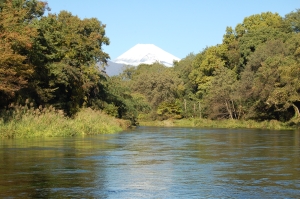 秋の柿田川写真（柿田川と富士山）