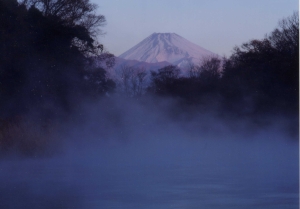 冬の柿田川写真