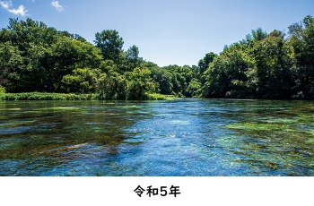 令和５年の柿田川の写真