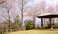 本城山公園の写真