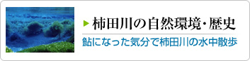 柿田川の自然環境・歴史