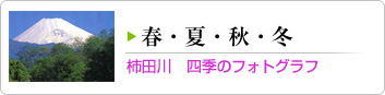 柿田川の春夏秋冬