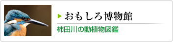 おもしろ博物館