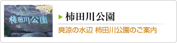 柿田川公園ご案内