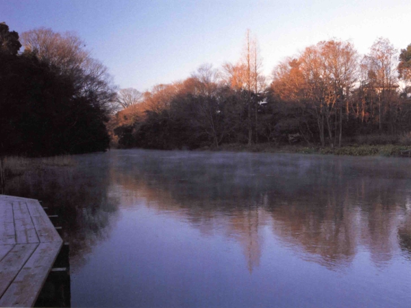 柿田川の風景写真３－５