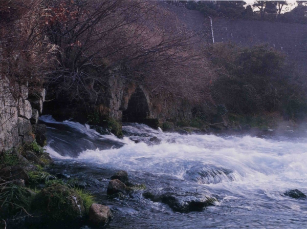 柿田川の風景写真６－５