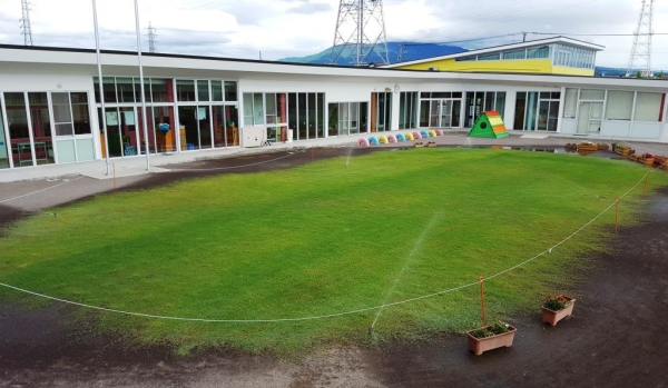 清水幼稚園の芝生完成の様子