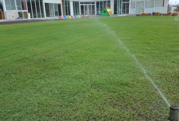 清水幼稚園の芝生散水の様子