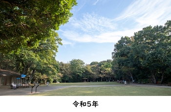 令和５年の柿田川公園の写真