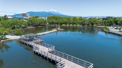 丸池公園の空撮画像