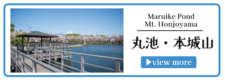 丸池と本城山の画像