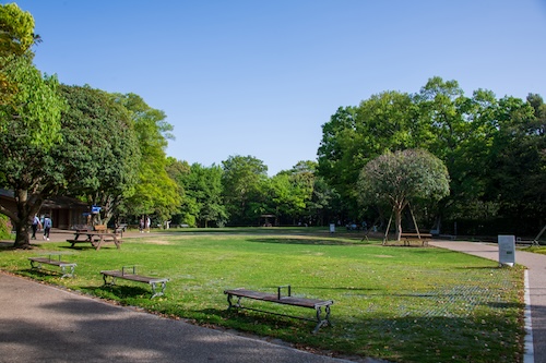 柿田川公園芝生広場の画像