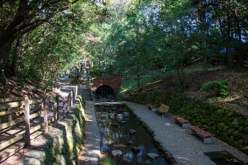 柿田川公園湧水広場の画像