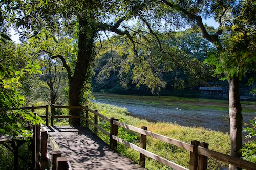 柿田川公園八つ橋の画像2