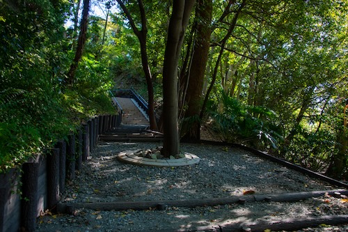 柿田川公園堂庭口遊歩道の画像
