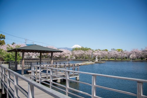 丸池公園（春）の画像1