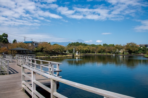 丸池公園（秋）の画像1