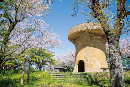 本城山山頂（春）の画像1