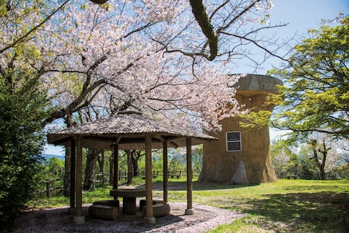 本城山山頂（春）の画像2