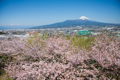 本城山山頂からの景色（春）の画像1