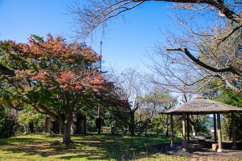 本城山山頂（秋）の画像1
