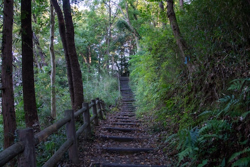 本城山遊歩道の画像
