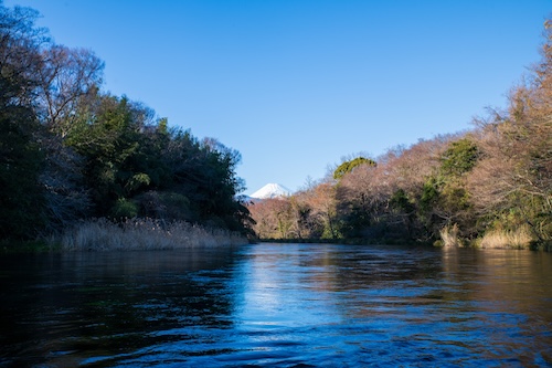 柿田川と富士山の画像