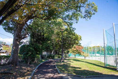 総合運動公園の画像4