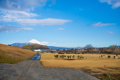 ふれあい広場の画像２