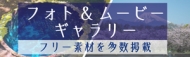 フォト&ムービーギャラリーバナー