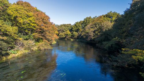 柿田川の水上から撮影した写真2