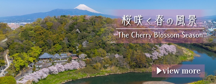 特設サイト「桜咲く春の風景」のバナー画像