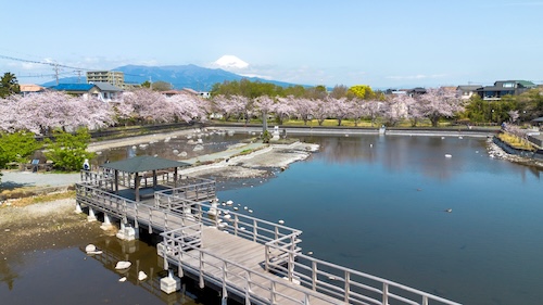 丸池公園（春）の空撮画像