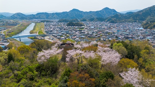 本城山（春）の空撮画像２