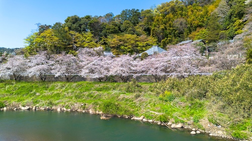 本城山・龍泉寺（春）の空撮画像２