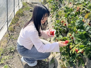 こども未来課職員の休日の様子