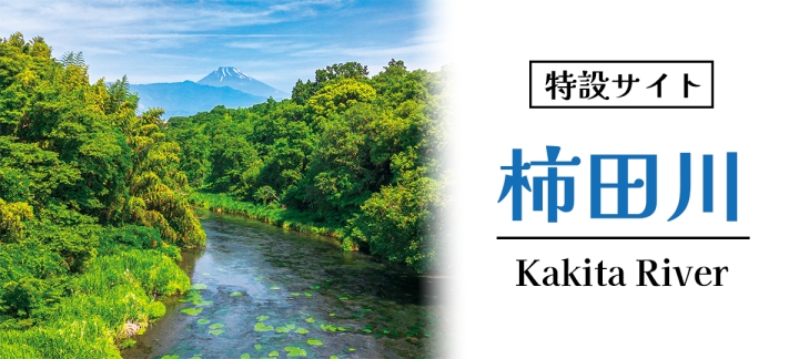 特設サイト「柿田川」の画像