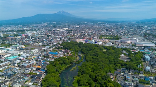 柿田川と富士山2