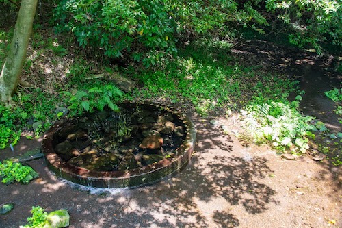 柿田川公園舟付場の画像