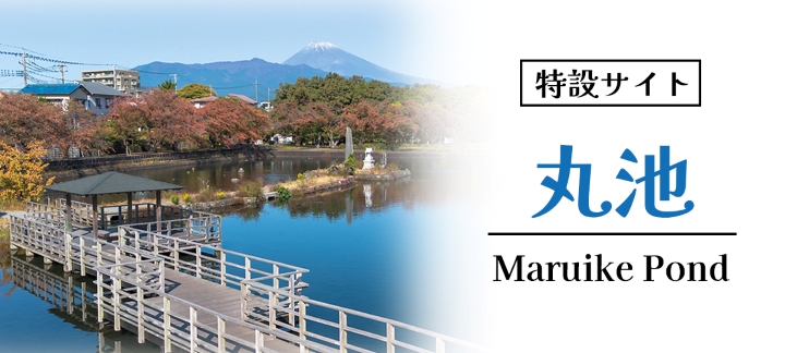 特設サイト「丸池」の画像