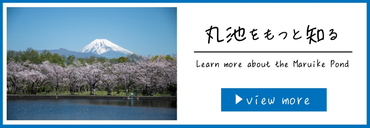 「丸池をもっと知る」バナー画像