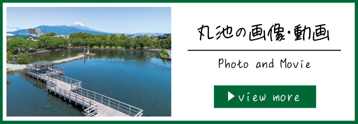 「丸池の画像・動画」バナー画像